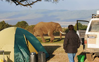 Clarissa Augustinus standing next to a Land Cruiser in the campsite on the rim at Ngorongoro