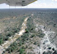 An aerial image of the Ngwezumba River showing the overgrown track and numerous elephant trails next to it, Chobe National Park, Botswana
