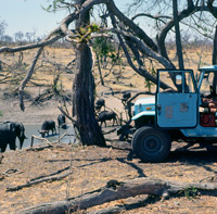 A Land Cruiser, and camp overlooking the lower pool of the Ngwezumba Pools in Chobe National Park, Botswana