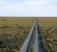 A track crosses a vast plain in Botswana