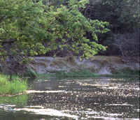 The location of e campsite on a high riverbank next to the Okavango in Botswana