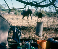Paul Augustinus camp at Serondella in the Chobe National Park in Botswana with elephants in the distance