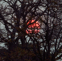 A view of the setting sun in a murky twilight scene set in the Chobe National Park