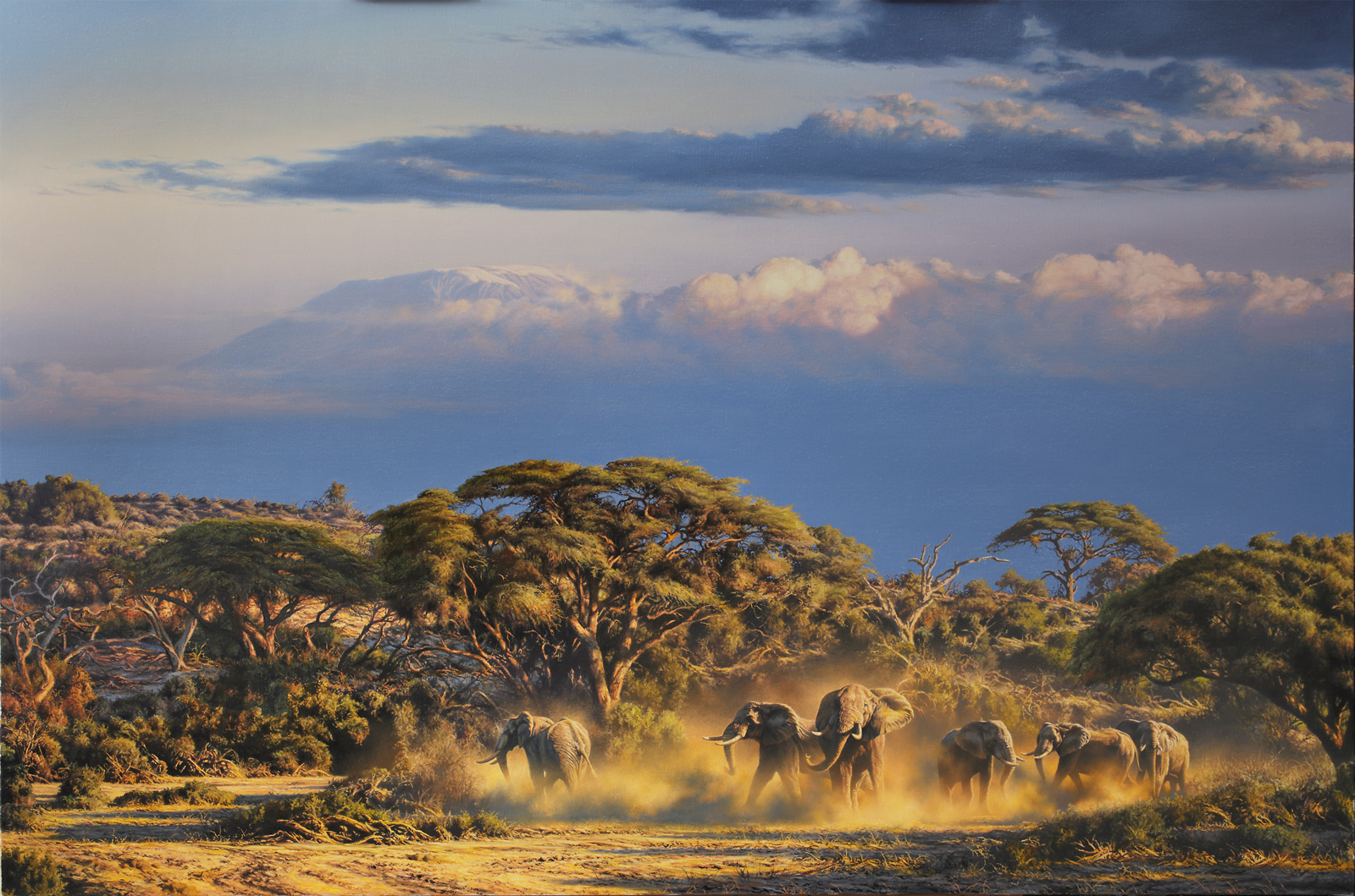 A Paul Augustinus painting of dusty evening elephants in acacia scenery with a snow capped mountain in the background           .