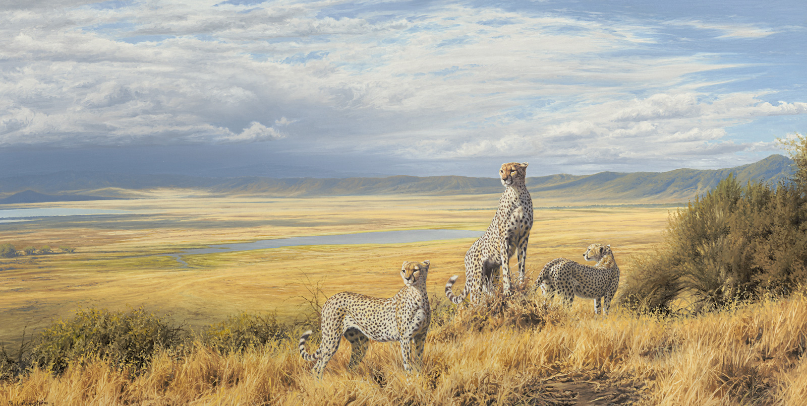 A Paul Augustinus painting of three cheetah posed on the rim of a high escarpment with the floor of Ngorongoro Crater far below in the background
